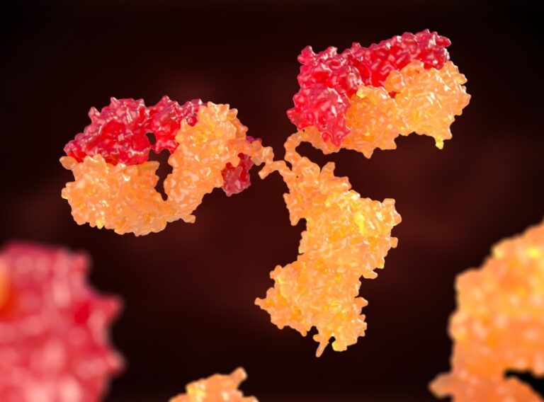 RNA